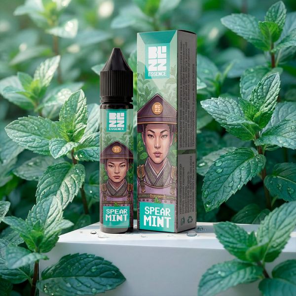 Blizz Essenсe Spearmint