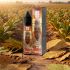 Blizz Essenсe Tobacco
